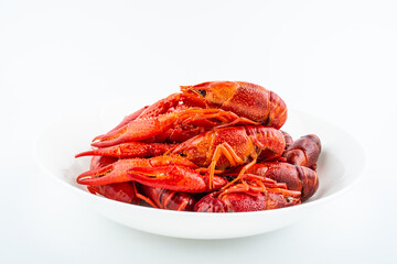 Delicious crayfish on a plate on white background