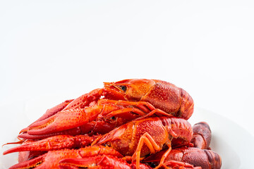 Delicious crayfish on a plate on white background
