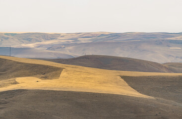 Cultivated farm fields in the foothills