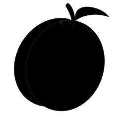 Fototapeta premium fruit illustration vector