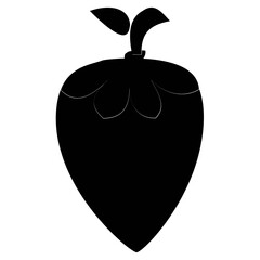 fruit illustration icon