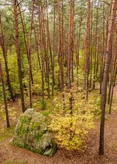 Krynki Nature Reserve, Swietokrzyskie Voivodeship, Poland