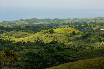 Beautiful green slopes on the island of Nusa Penida