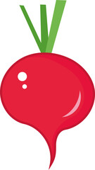 Radish vegetable vector doodle art illustration. Salad bar. 