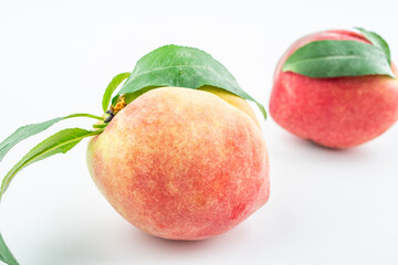 Fresh peaches on white background