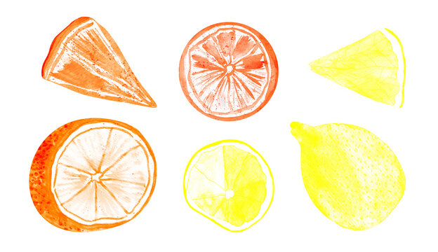 Watercolor citruses, oranges and lemons, fruit set isolated on white. 
