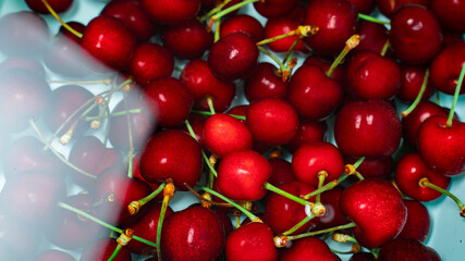 Top view of fresh cherries in water  