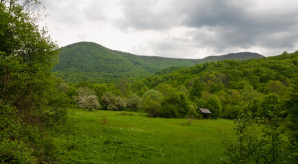 Cloudy weather in the mountains. A wide green meadow in the foreground with a small house. Clouds illuminated by the sun. Rich color palette. Summer Carpathians. Scenery. 