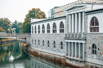 Obraz premium Ljubljanica, the river of the capital of Slovenia