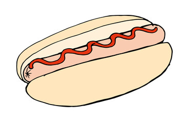 Vector hot dog in natural colors with red ketchup. hand-drawn sketch-style street fast food HOT DOG with sausage roll and red sauce on white background for design template, for labels, menus, signage