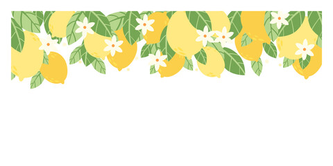 rectangular banner with lemons, foliage, lemon wedges and fragrant flowers in full bloom.  vector illustration.
