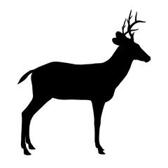 Deer silhouette isolated on white background. Side view. Vector illustration