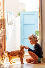 The boy feeds the cat at home - 440778177