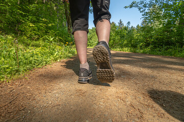 wandernde Frau auf einem Waldweg