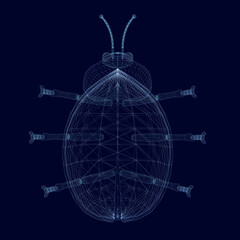 Wireframe of a ladybug beetle made of blue lines on a dark background. 3D. Vector illustration
