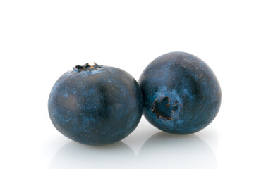 blueberries isolated on white, close up of two berries with copy space