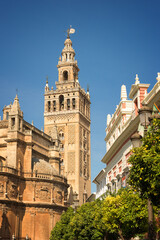 Fototapeta na wymiar La Giralda in Seville, Andalusia, Spain