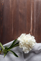 white large peony flower on a dark wooden background with place for text. vertical flower arrangement, rustic style, flat lay