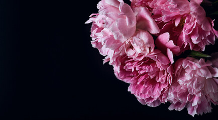 panoramic floral banner. beautiful pink peonies on a black background with place for text. minimalistic composition in a dark key. flat lay, moody floral, copy space