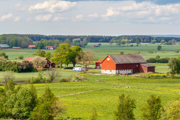 Fototapeta na wymiar View of a rural landscape with a farm in the early summer