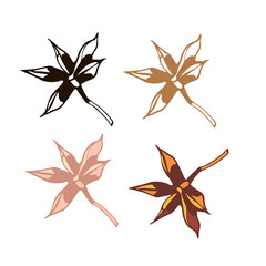 isolated element spice star star anise black and white different colors vector