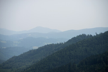 Abstract blue Landscape with Silhouettes of Misty Mountains and Forest. Multilevel Mountain Range in the Background and a Dense Forest in the Foreground