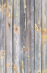 Wooden background made of old boards. The texture of an old rustic wooden fence made of flat processed boards. Wooden fence made of old boards with the inclusion of Knots. Background design