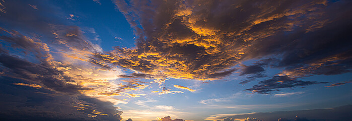 Tree silhouetted against a setting sun.Dark tree on open field dramatic sunrise.Safari...