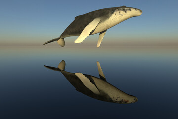 Humpback whale jump over the ocean with reflection on the sea. 3D rendering image