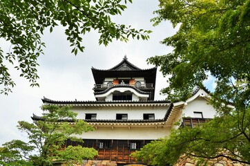 新緑の犬山城 天守閣