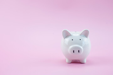Piggy bank on pastel pink background, Business finance saving piggy bank concept, Copy space.