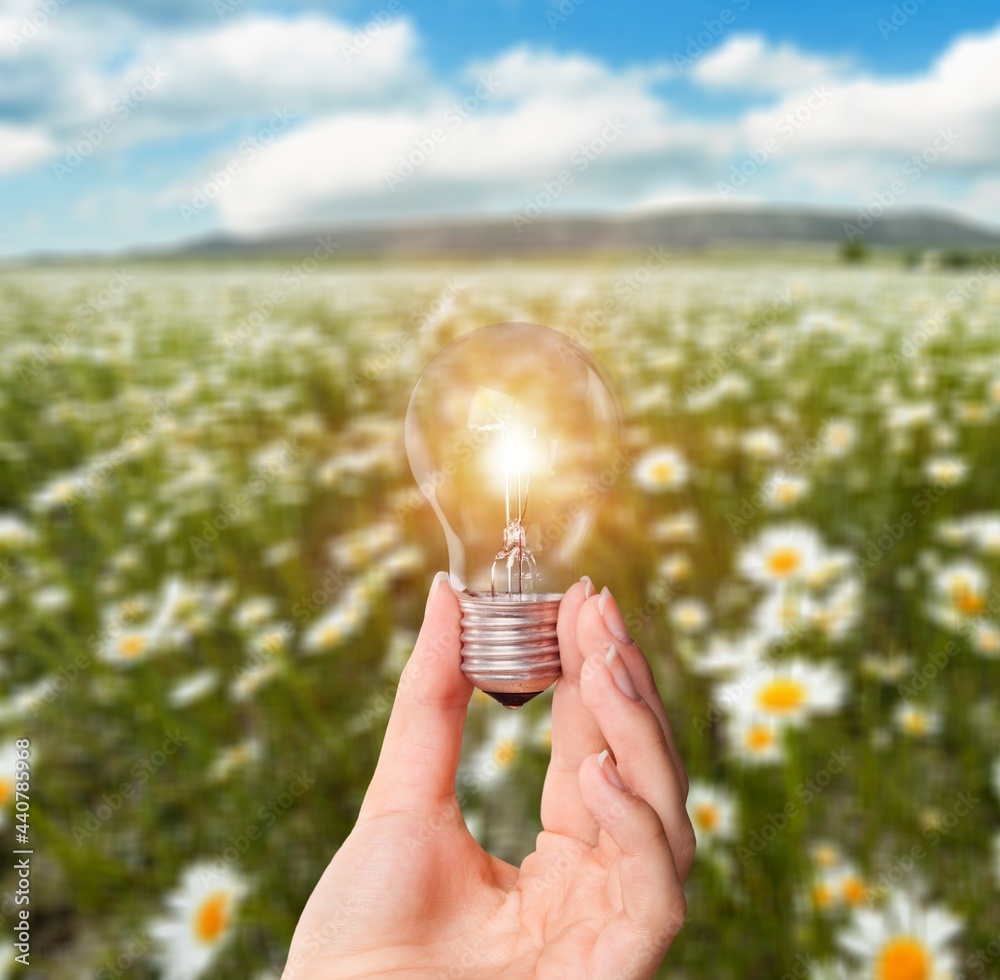 Wall mural Light bulbs glow, in the concept of energy in nature.