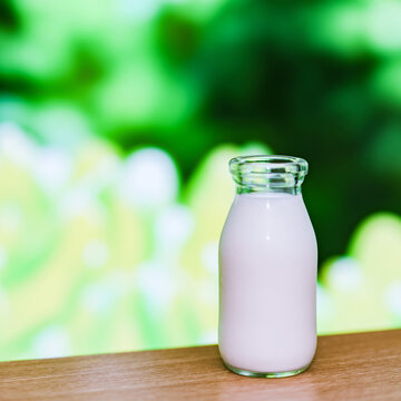 牛乳　ミルク　【 高原 の 朝 イメージ 】
