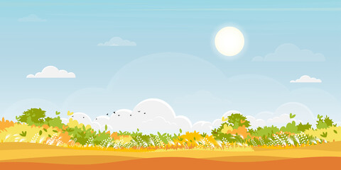 Hello Autumn background with Natural forest landscape with lawn grass field and hills,Vector nature with a meadow on hills and blue sky on sunny day, Backdrop Flat art cartoon style for fall season
