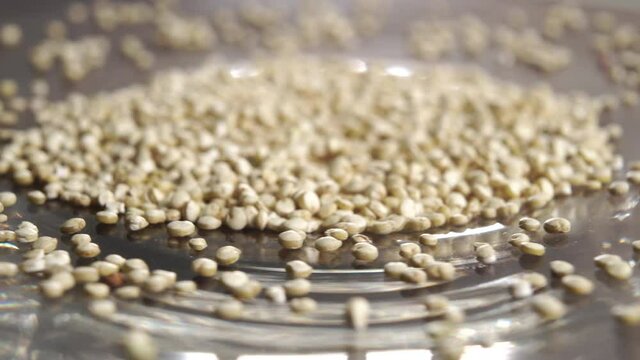 Fresh raw quinoa seeds on a shiny saucer. Macro shot. Rotation. Healthy food gluten free concept