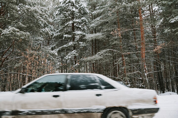 A blurry car on the background of snowy pines