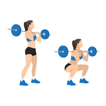 Woman doing Front barbell squat exercise. Flat vector illustration isolated on white background
