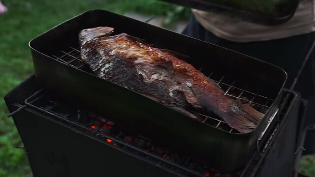 Man preparing baking fish on backyard. Close up on Smoked fish in mini Makeshift metal smokehouse box frying on fire. Hot smoked river bass fish cooked.Bbq, grill and picnic time.