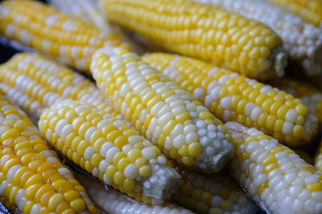 Close up of a fresh sweetcorn.