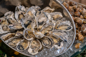 Thai seafood flavor mantis shrimp shrimp oyster and mussels / Cooked food served seafood buffet concept