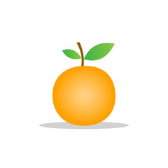 vector illustration of orange fruit design. orange texture. white isolated. modern fruit design