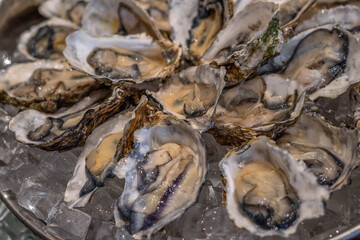 Thai seafood flavor mantis shrimp shrimp oyster and mussels / Cooked food served seafood buffet concept