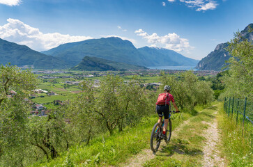 Fototapeta premium nice senior woman riding her electric mountain bike in the olive groves of Arco and enjoying the awesome view over Garda Lake between Riva del Garda and Torbole