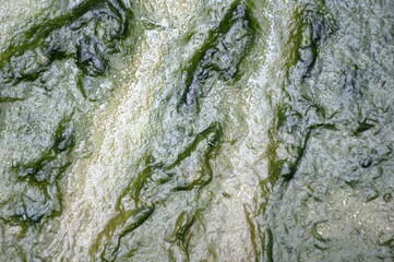 Obraz premium close up wet muddy texture