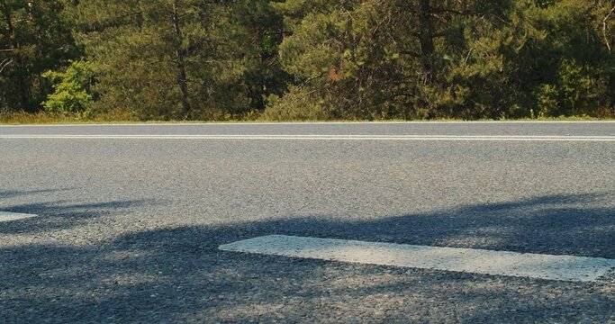 forest road and cars in summer in slow motion