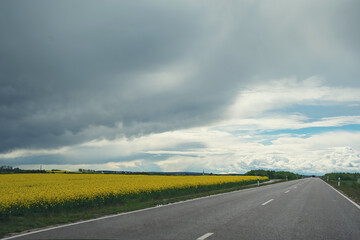 rapeseed field in bavaria, beautiful clouds on a summer day