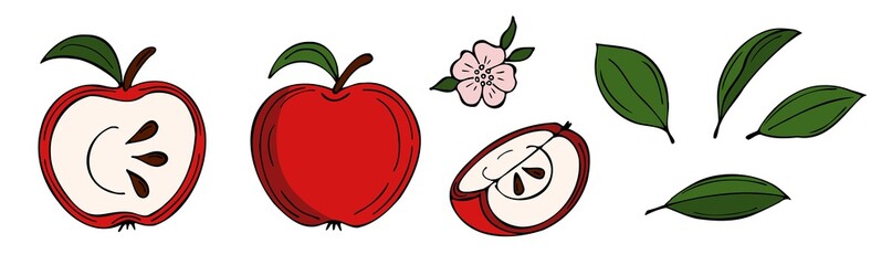 Red apple, sliced apple, apple blossom, leaves isolated on white background. Vector set