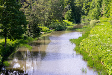 Aln river near Alnwick, Northumberland, England, in spring