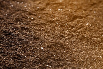 Black land soil for plant background.