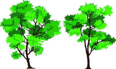 Tree vector Illustrations